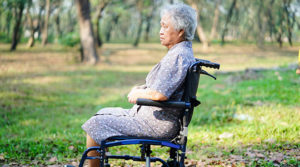 Elderly asian woman in a wheel chair on the grass