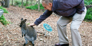 Man with Wallaby Dementia Friendly Community Environmental Assessment Tool