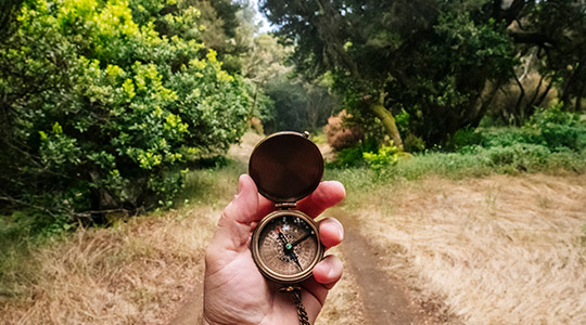 Dementia Discovery: Frontotemporal dementia
