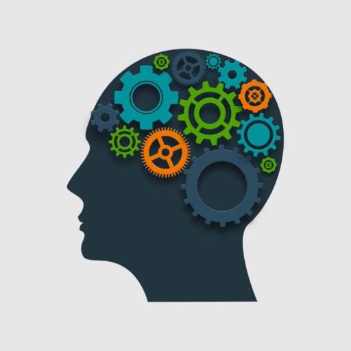 Dementia Discovery: Understanding the brain and dementia